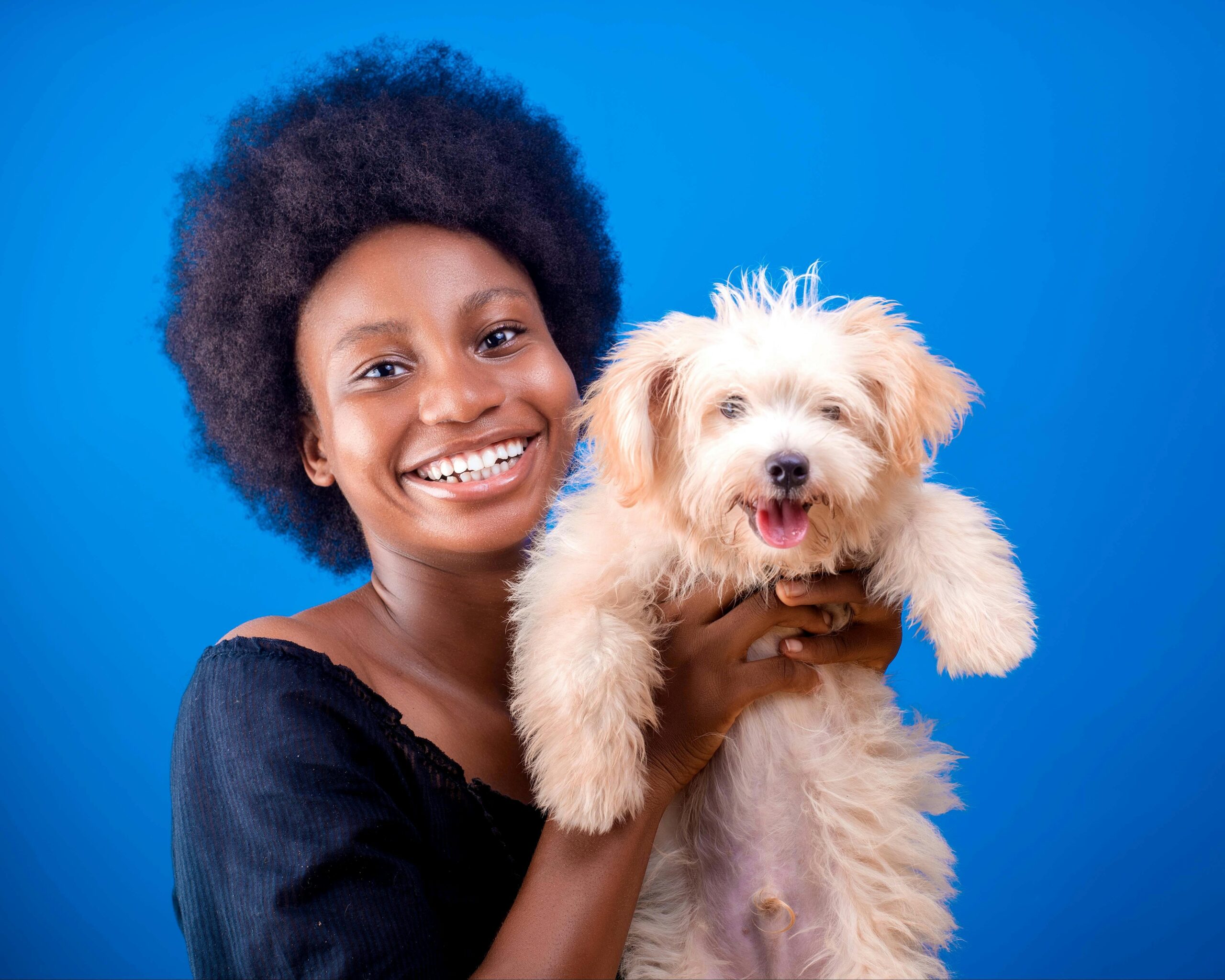 Smiling woman holds her happy fluffy dog against a bright blue background.